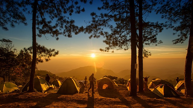 Camping 101: A Beginners Guide to Unleashing Your Inner Adventurer
